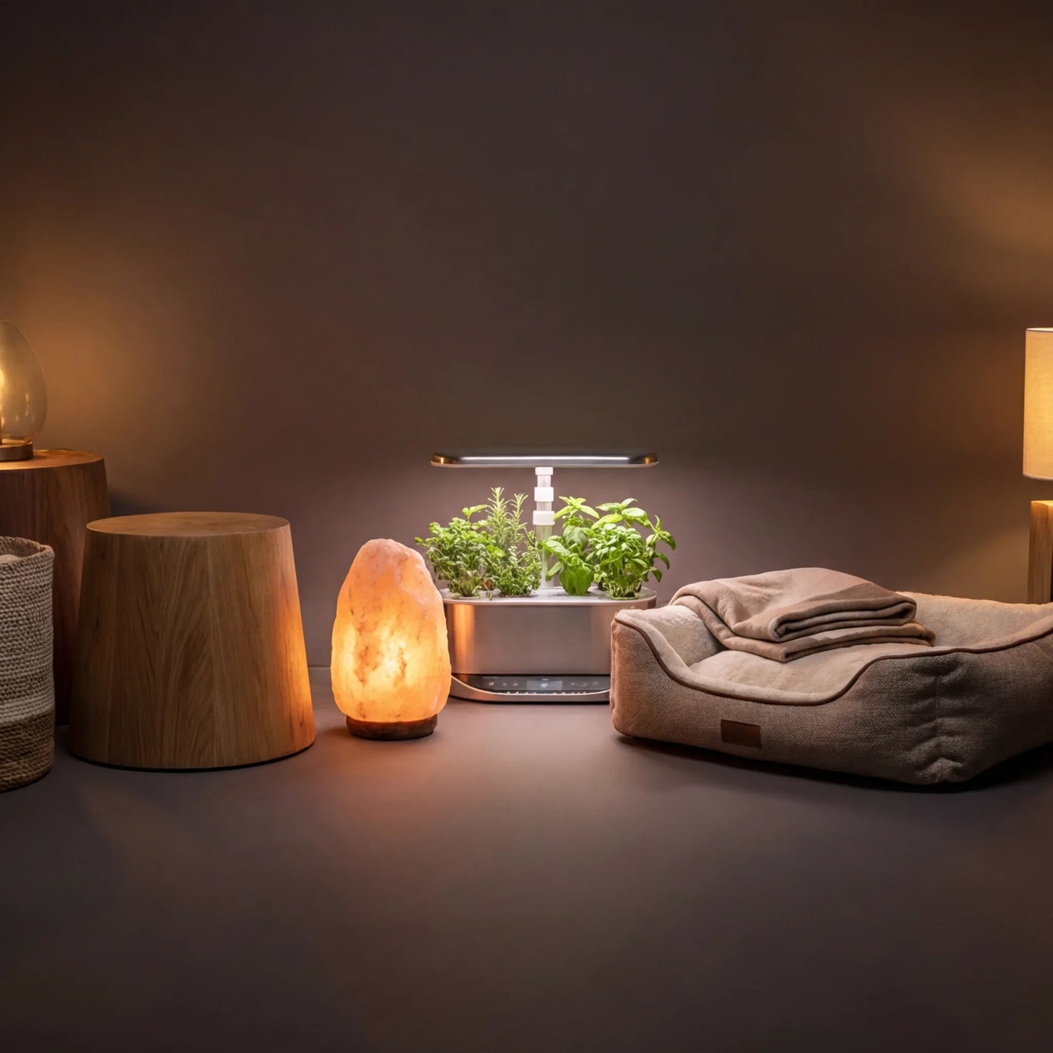 Home and Lifestyle Collection