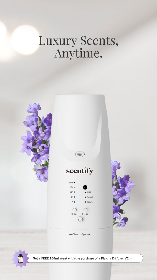 Get a FREE Scent with Your V2 Diffuser | Build Your Kit product image