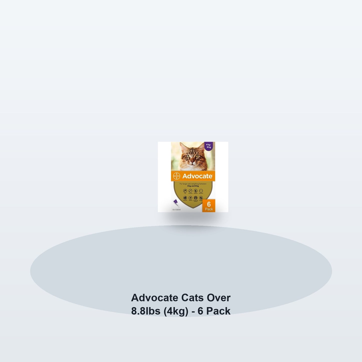 Advocate Cats Over 8.8lbs (4kg) - 6 Pack - Soft studio hero
