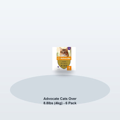 Advocate Cats Over 8.8lbs (4kg) - 6 Pack - Soft studio hero